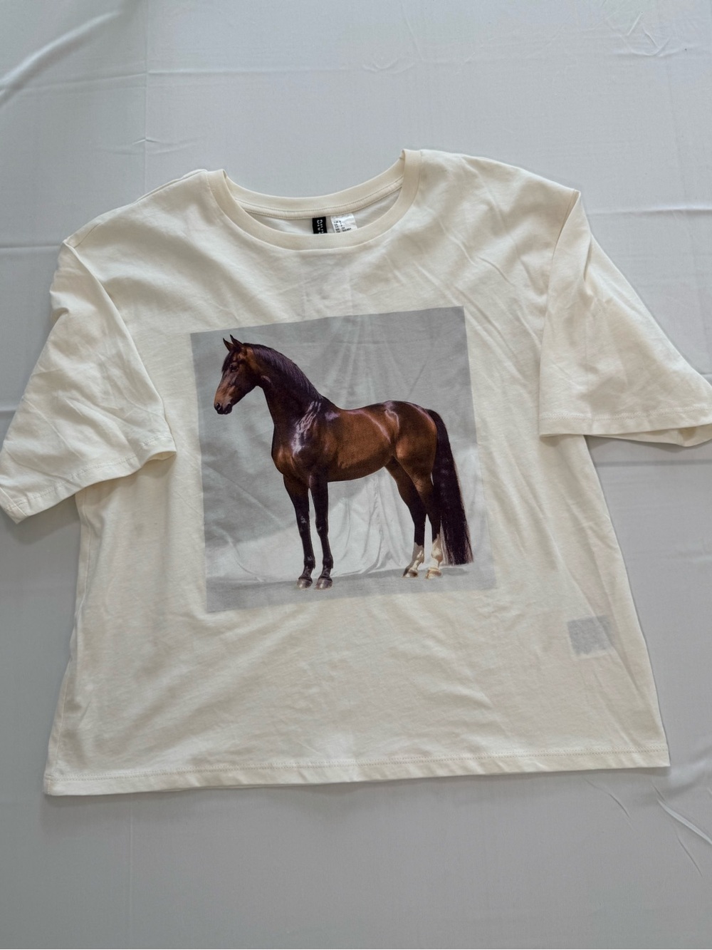 NWT H&M Cream Crewneck Graphic Tee
